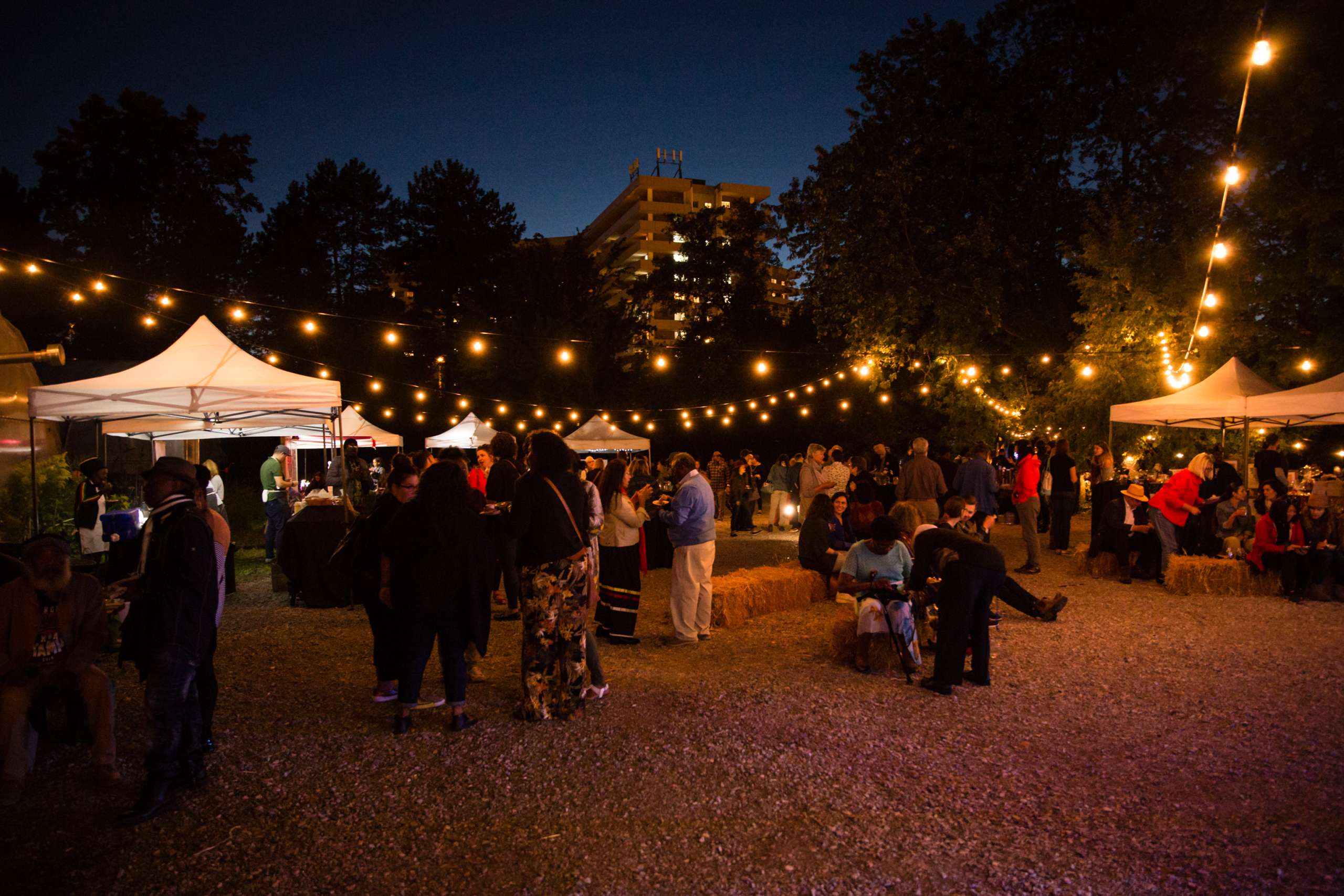 Dinner at The Farm: A Night of Culinary Enchantment (Toronto)
