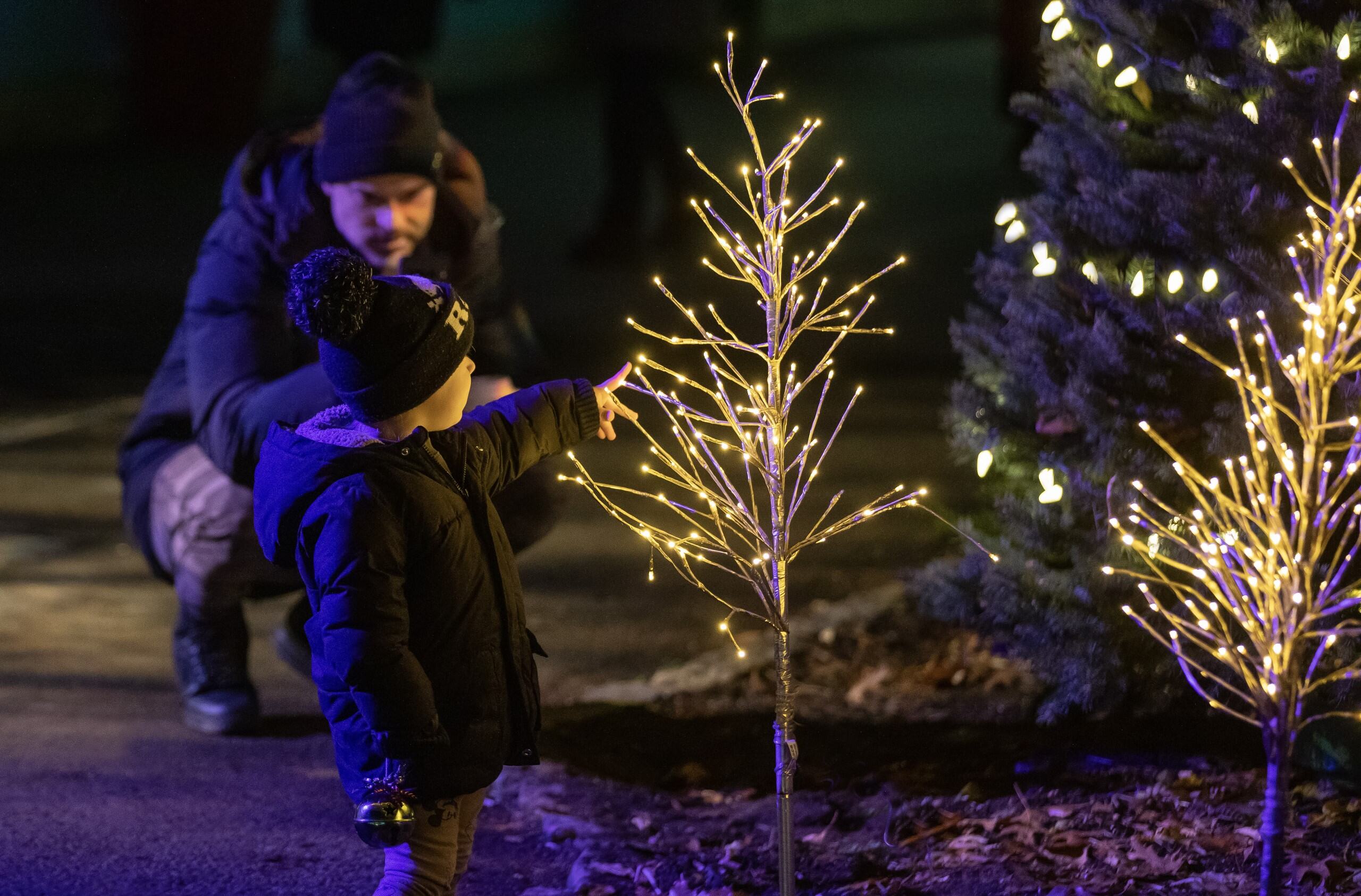 Royal Botanical Gardens Winter Wonders 1