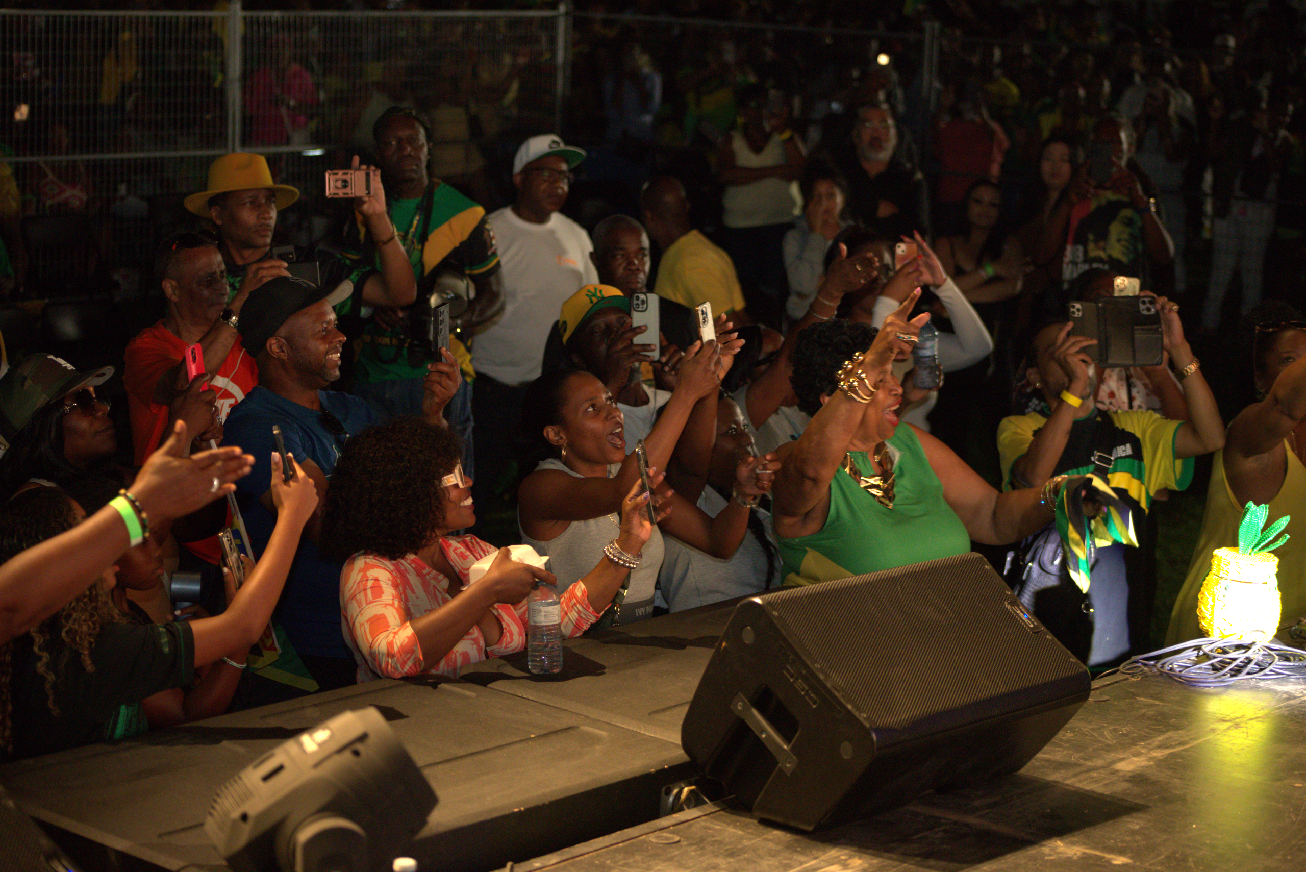 Toronto Jamaica Day 2025