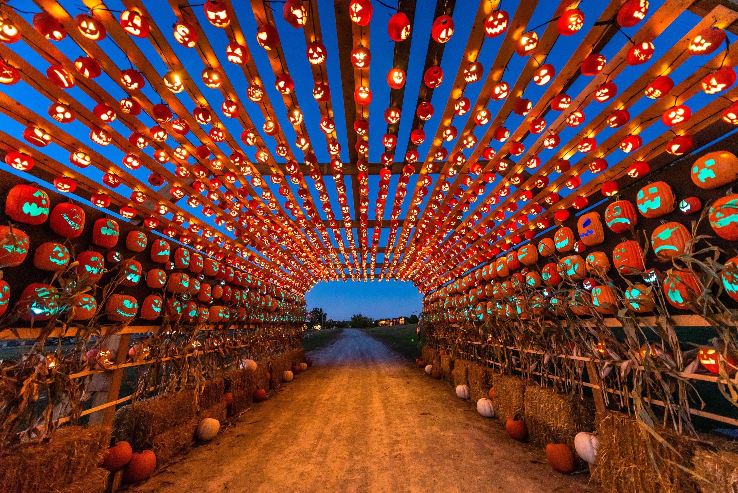 Pumpkins After Dark Toronto 2025 1