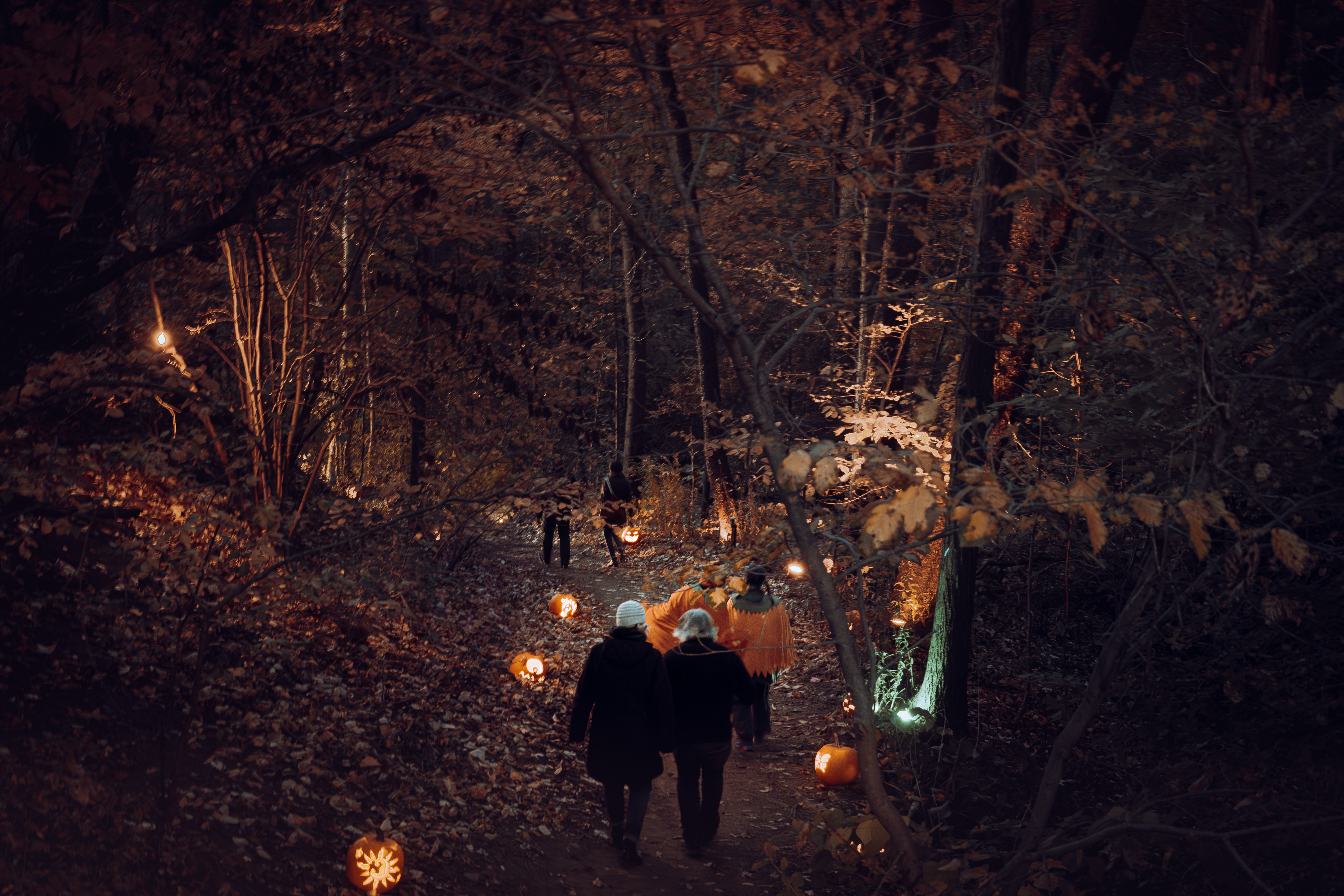 The Great Pumpkin Trail 2025