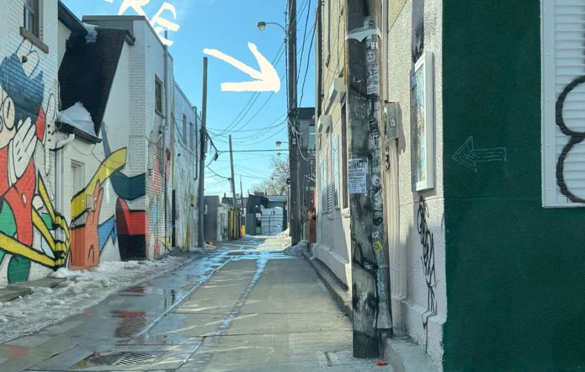 Offline Market Toronto 1