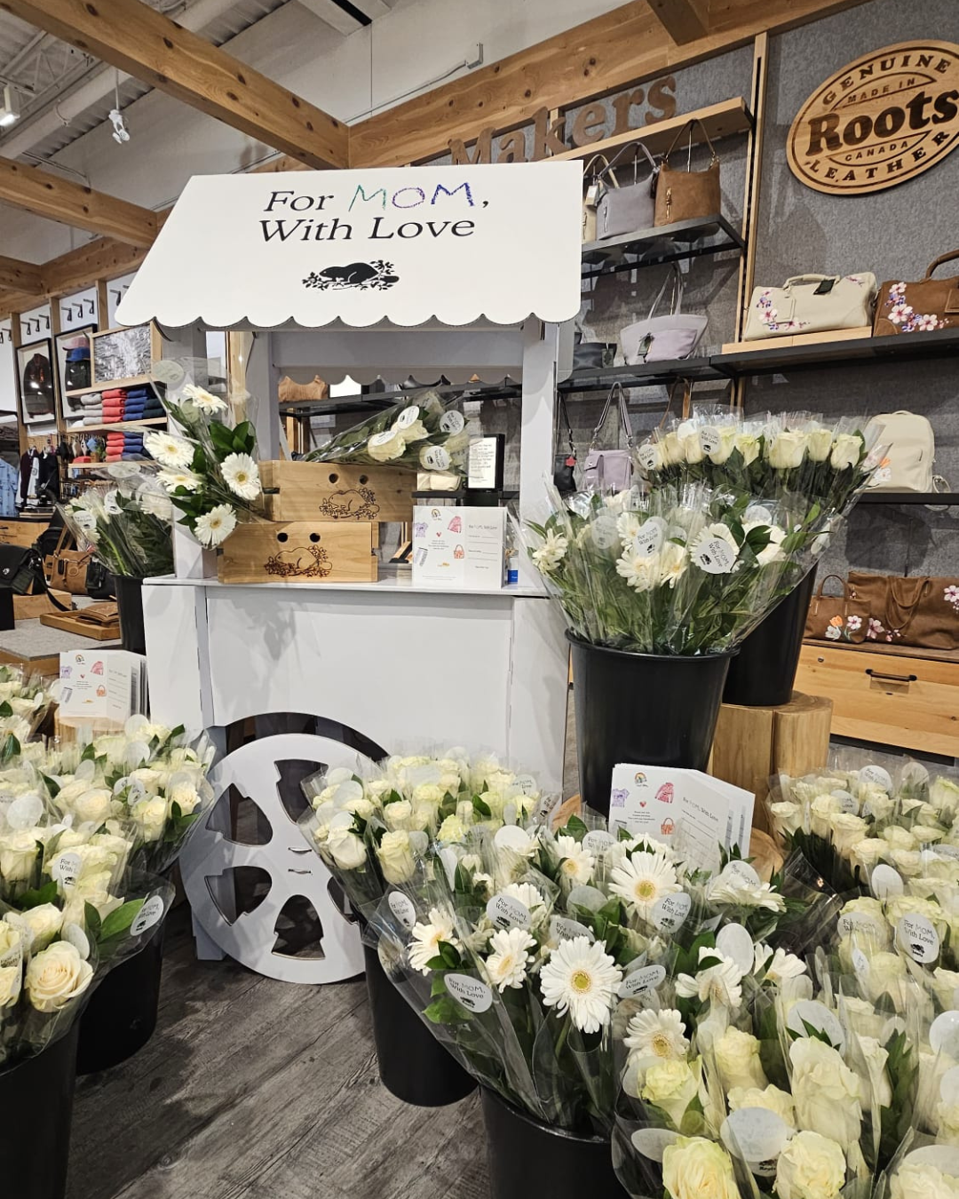 Plantita & Co Toronto 1