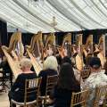 A World-Class Celebration of Harp Music, Global Artists, and Composers Is Coming to Toronto This July