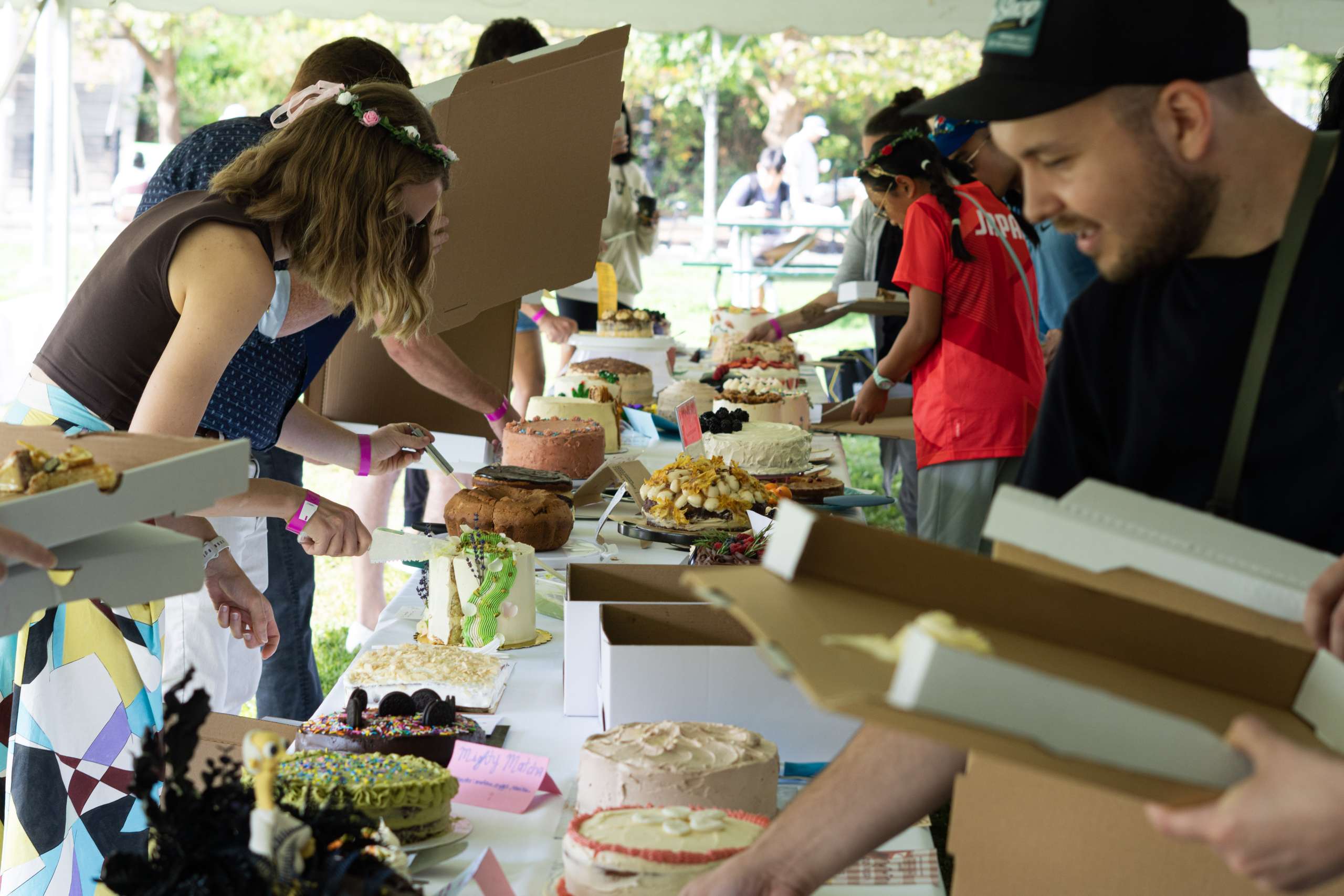 Cake Picnic Toronto 1