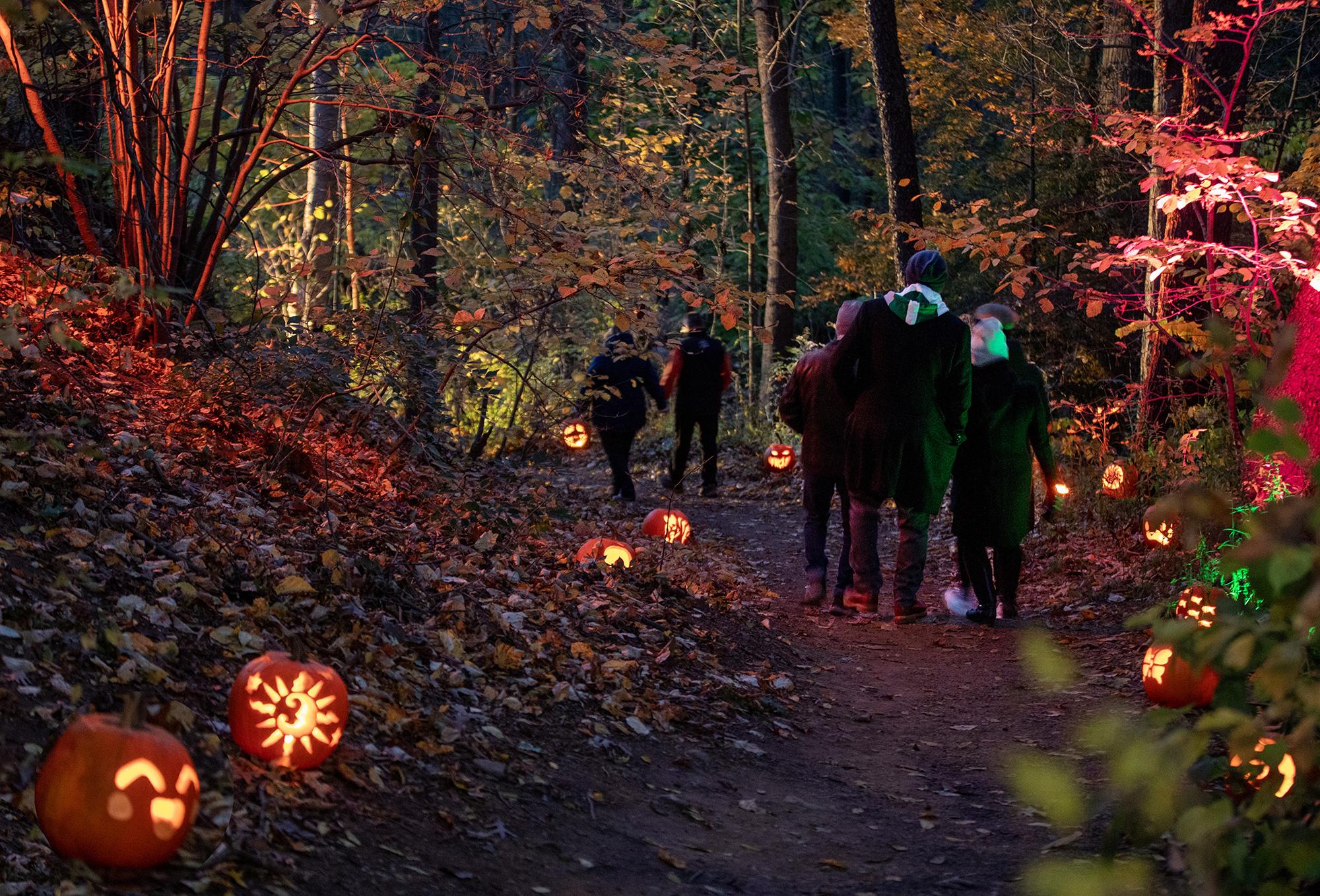 RBG Great Pumpkin Trail p1