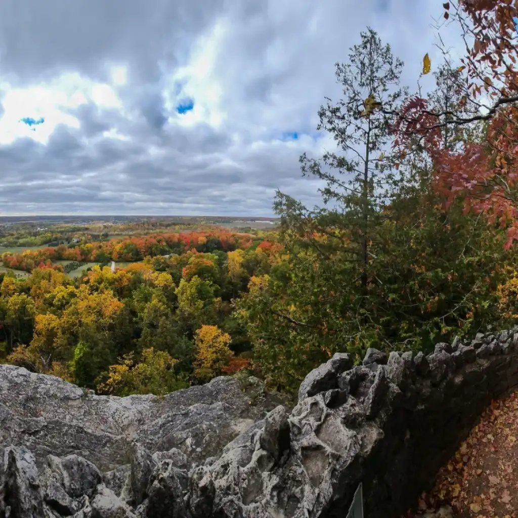 Halton Area